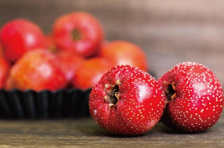 崆鹿堂山楂种植基地：生态赋能乡村振兴的绿色实践