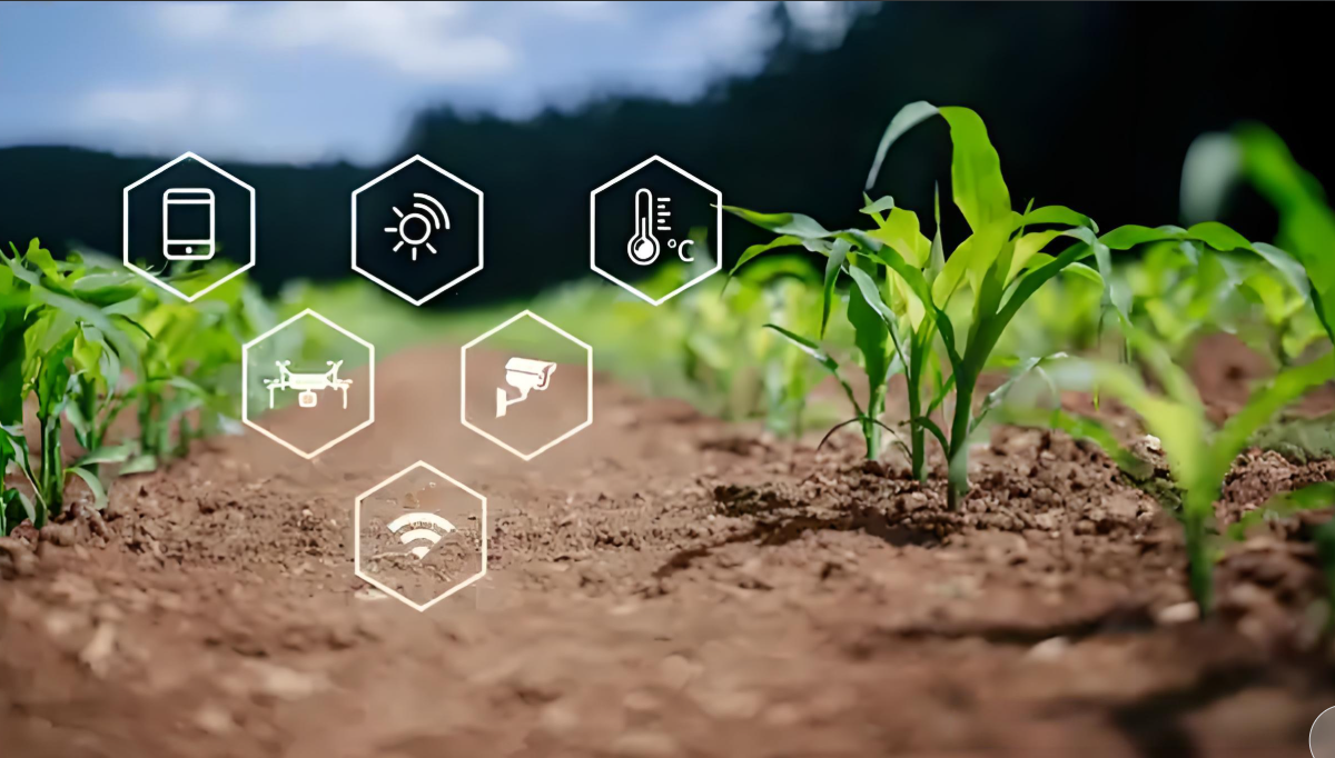 西安掌鲸宝与甘肃崆鹿堂跨界携手 共绘乡村振兴新蓝图