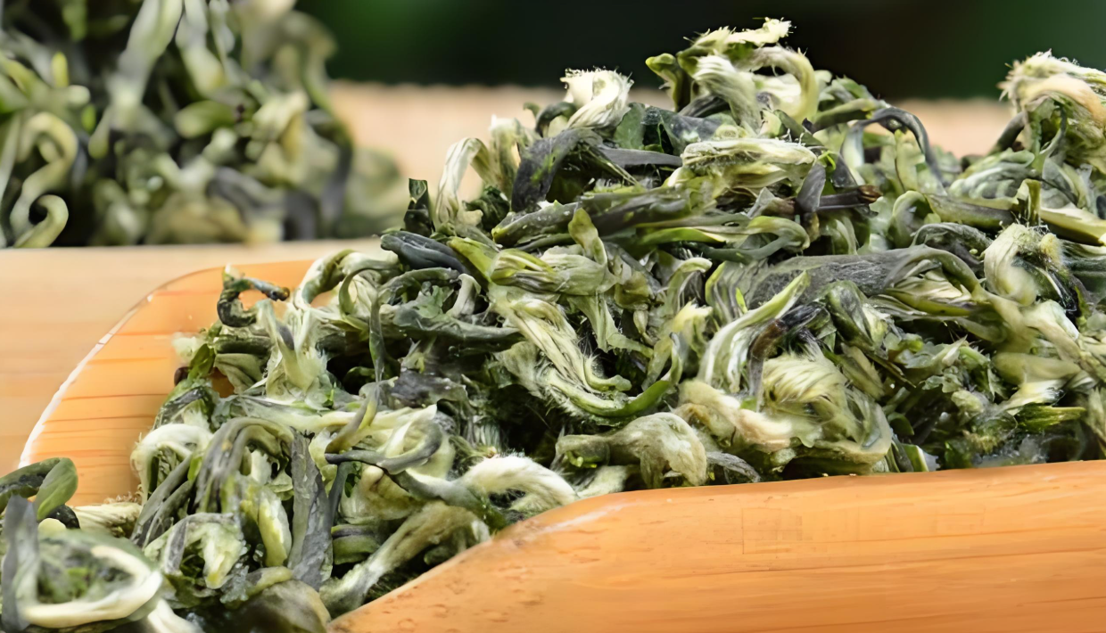 崆鹿堂健康观察：常喝毛尖身体轻盈更健康