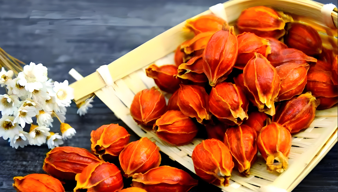 崆鹿堂黄栀子种植基地：生态赋能乡村振兴的绿色实践